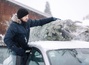 Richtiger Transport vom Weihnachtsbaum
