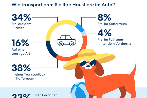 Richtige Sicherung des Vierbeiners im Auto